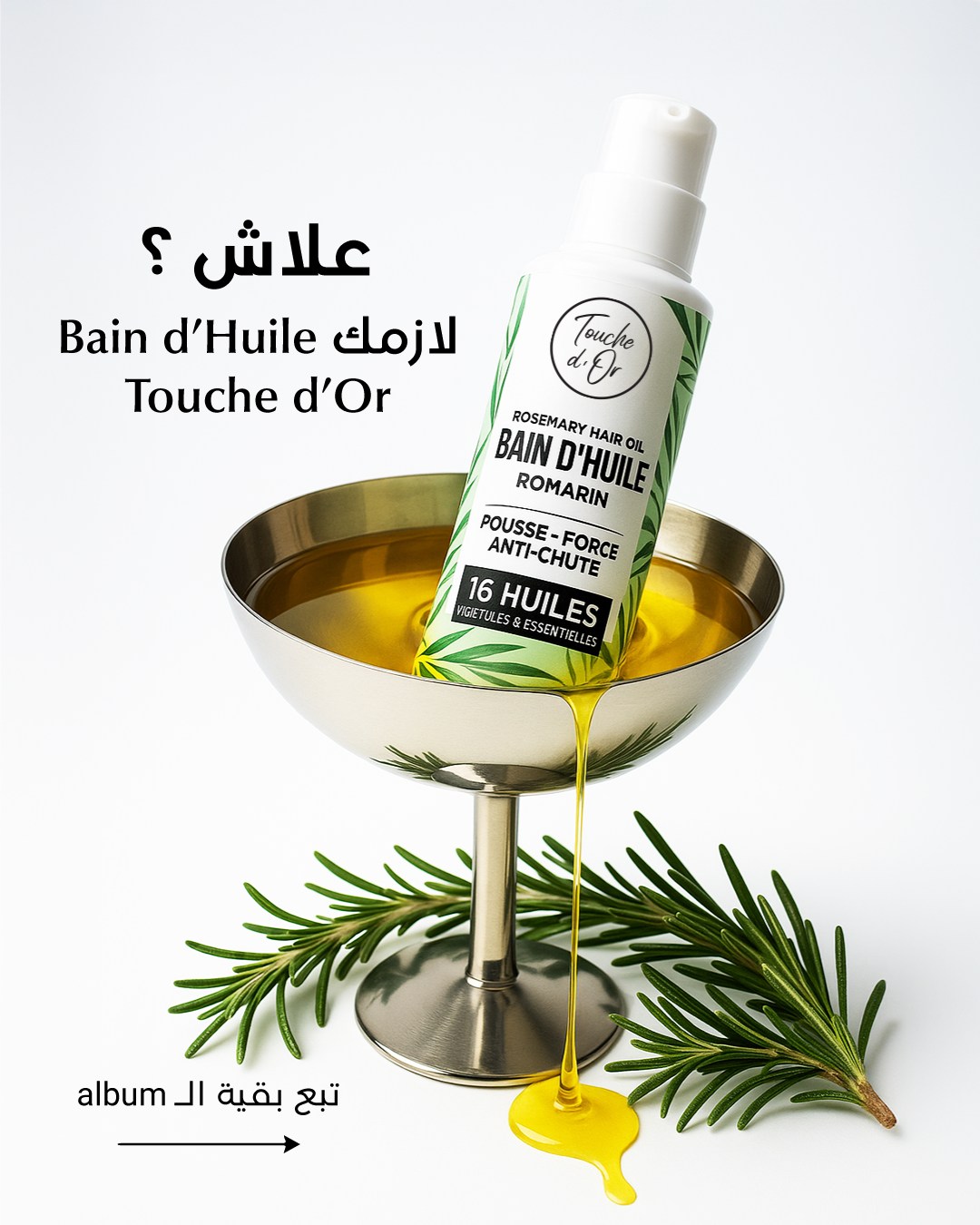 538550597_1321566196643632_2809960553211243613_n (1)