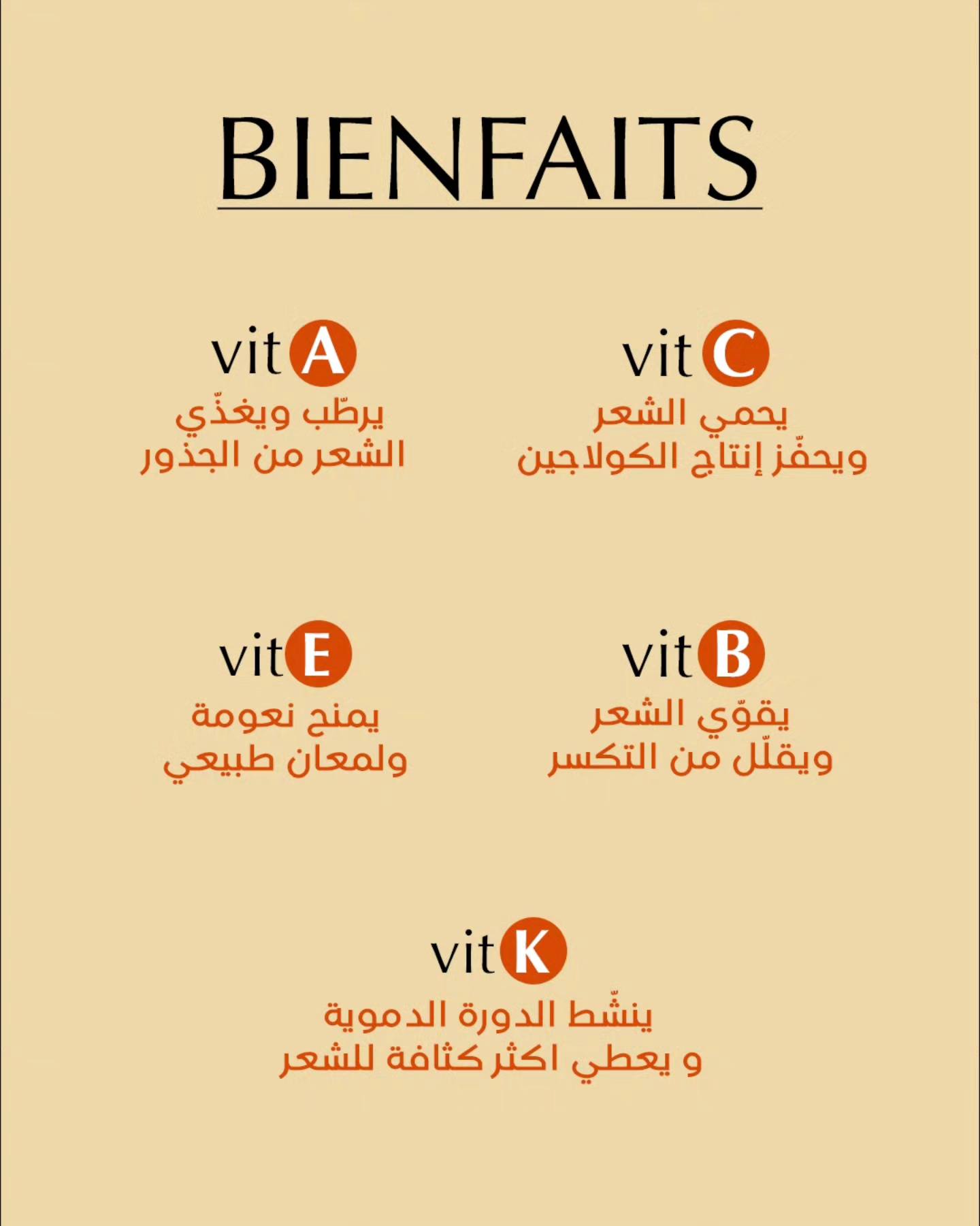 554791190_1350175813782670_2909980258863063942_n