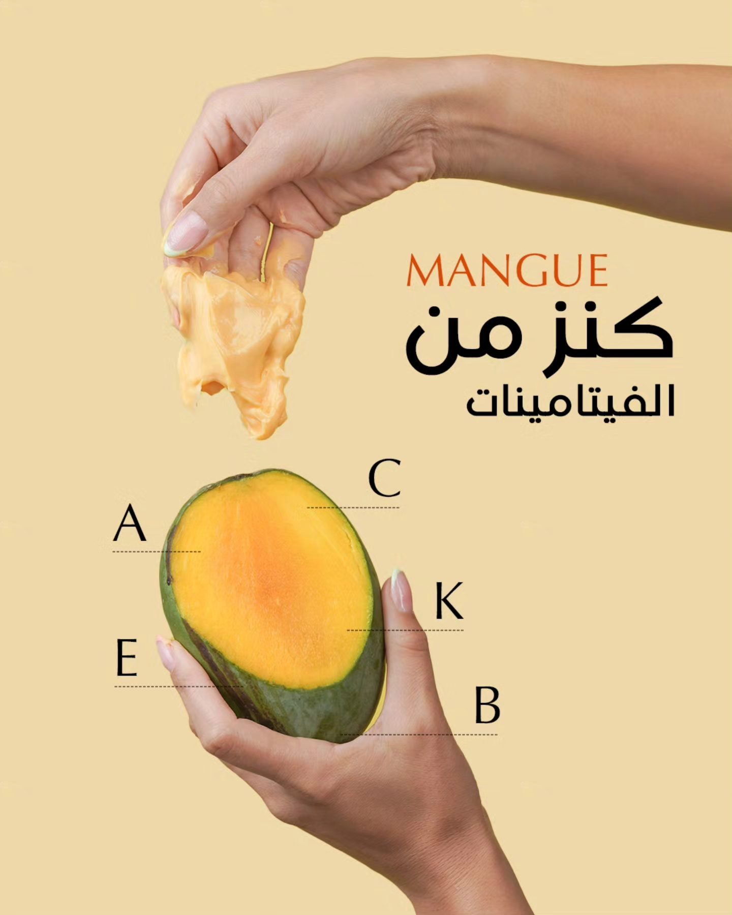 555861225_1350175817116003_3365382161136592286_n