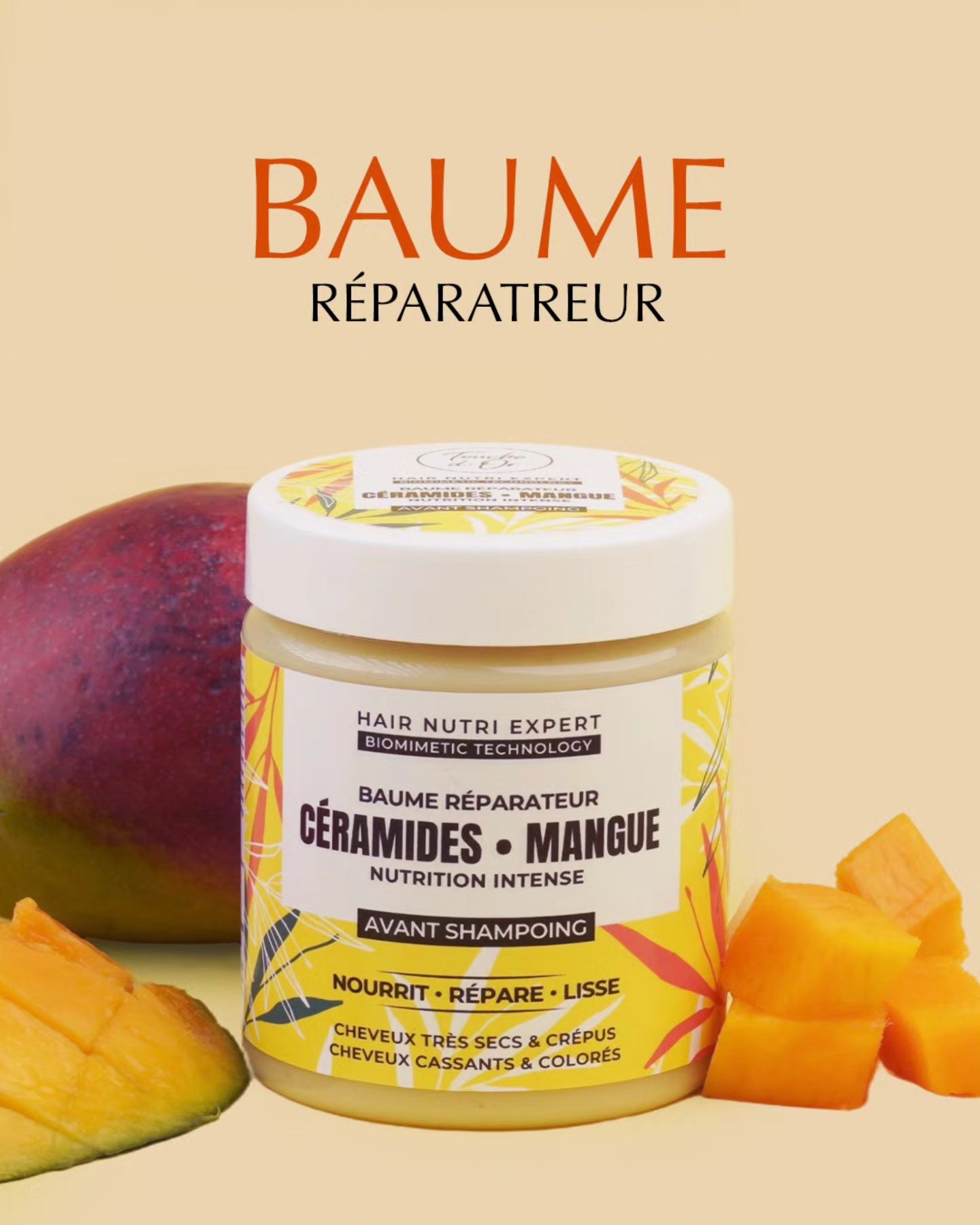 558293630_1356096626523922_362840882179786847_n